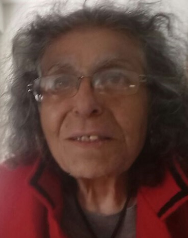Photo of Araxie Illman